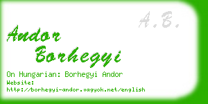 andor borhegyi business card